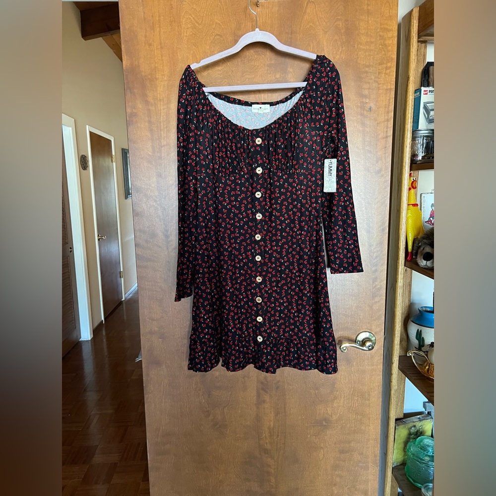 Derek Heart Black and Red Floral Dress